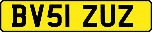 BV51ZUZ
