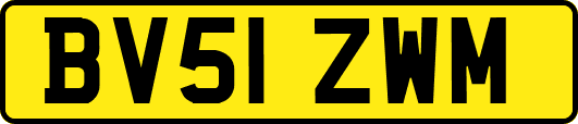 BV51ZWM