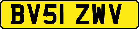 BV51ZWV
