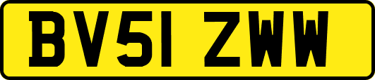 BV51ZWW