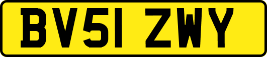 BV51ZWY