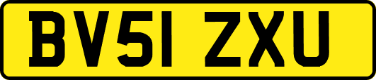 BV51ZXU