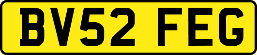 BV52FEG