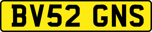 BV52GNS
