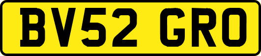 BV52GRO