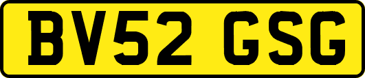 BV52GSG