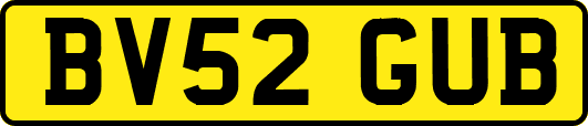 BV52GUB