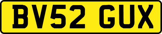 BV52GUX