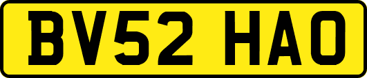 BV52HAO