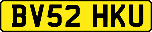 BV52HKU