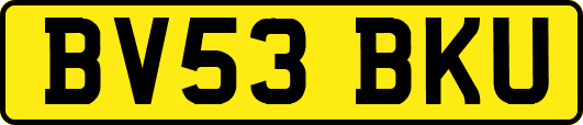 BV53BKU