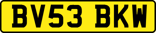 BV53BKW