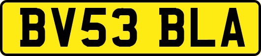 BV53BLA