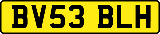 BV53BLH