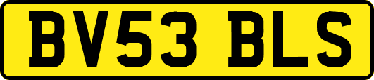 BV53BLS
