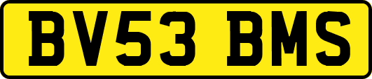 BV53BMS