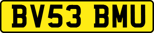 BV53BMU