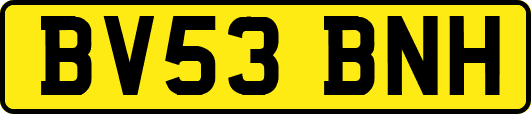 BV53BNH