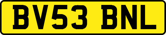 BV53BNL