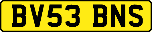BV53BNS