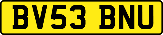 BV53BNU