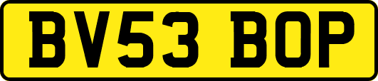 BV53BOP