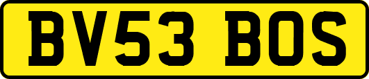 BV53BOS