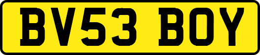BV53BOY
