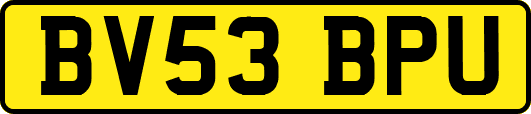 BV53BPU