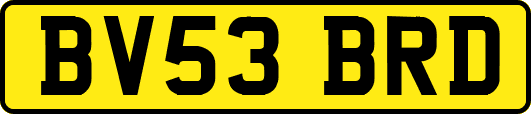 BV53BRD