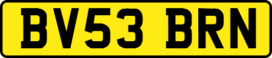 BV53BRN