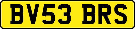 BV53BRS