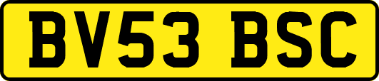 BV53BSC