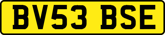 BV53BSE