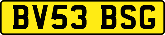 BV53BSG