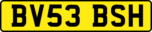 BV53BSH