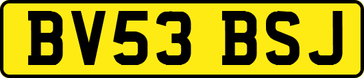 BV53BSJ