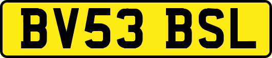 BV53BSL