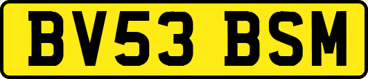 BV53BSM