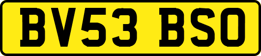 BV53BSO
