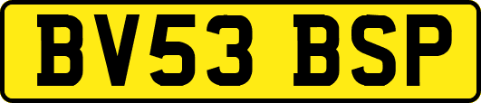 BV53BSP