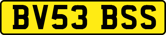 BV53BSS