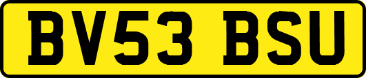 BV53BSU