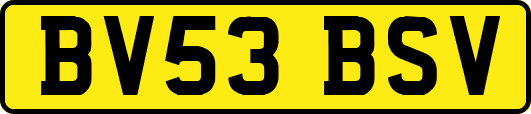 BV53BSV
