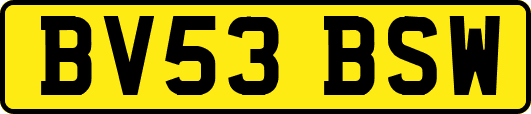 BV53BSW