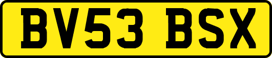 BV53BSX