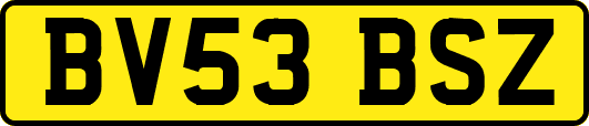 BV53BSZ