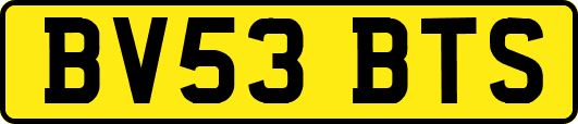 BV53BTS