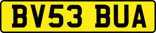 BV53BUA