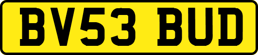 BV53BUD